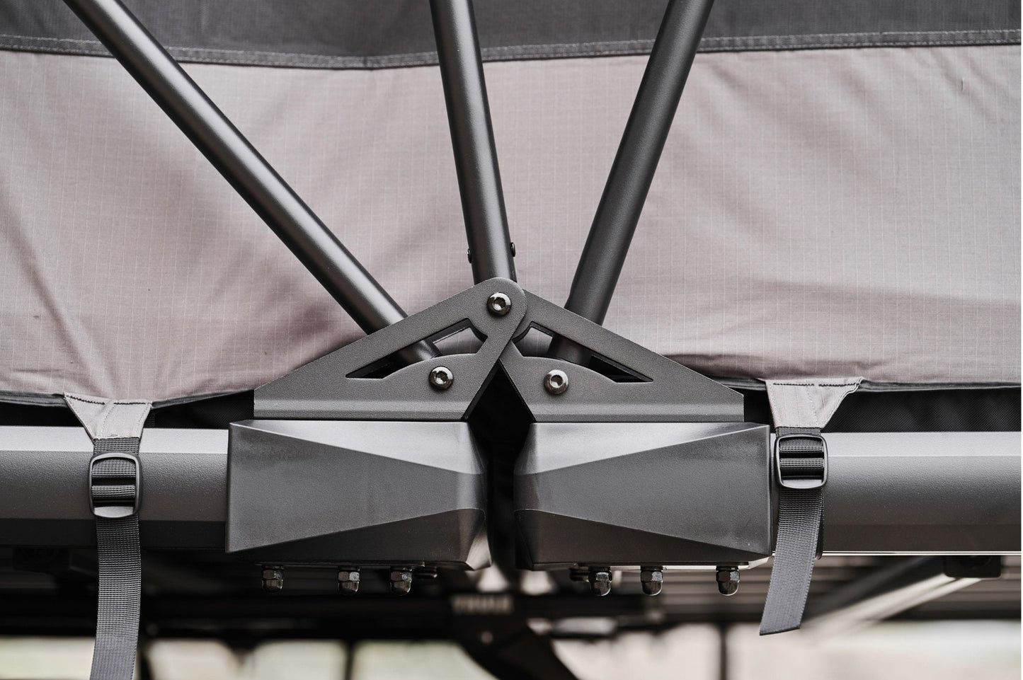 Wild Cruiser Pro 250