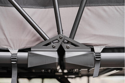 Wild Cruiser Pro 250