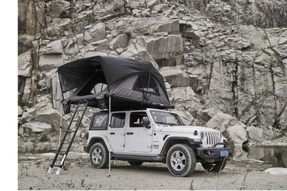 Wild Cruiser Pro 250