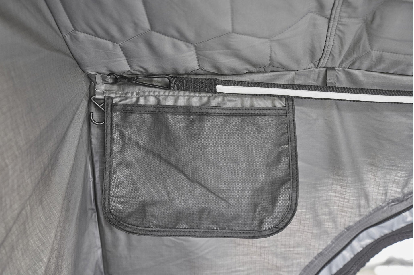 Wild Cruiser Pro 250